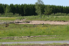 Schaktarbetet inför den nya sträckningen av Trösenkurvan hade påbörjats.