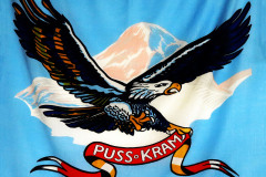 4-76-PussKram-skall-anvandas-i-texten2